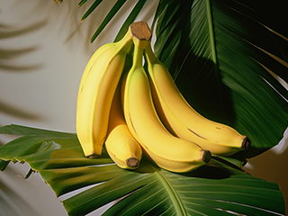 Denis Ternovskiy: “Commercial banana cultivation in Russia does not make economic sense yet”