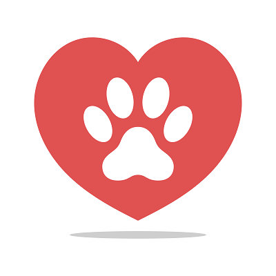 Diana Golovanova: The number of pet-friendly public places in Moscow has almost tripled 