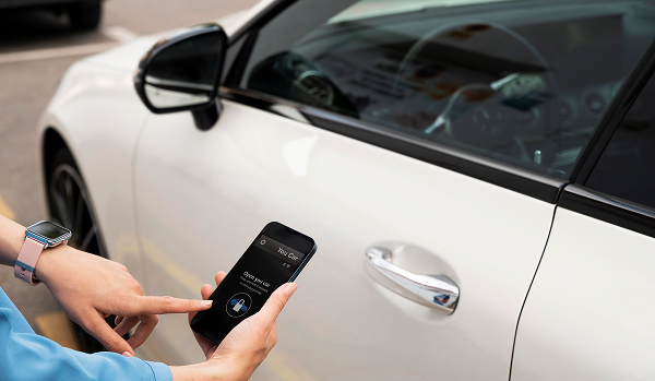 Anastasia Levchenko on regulating the car sharing market in Russia